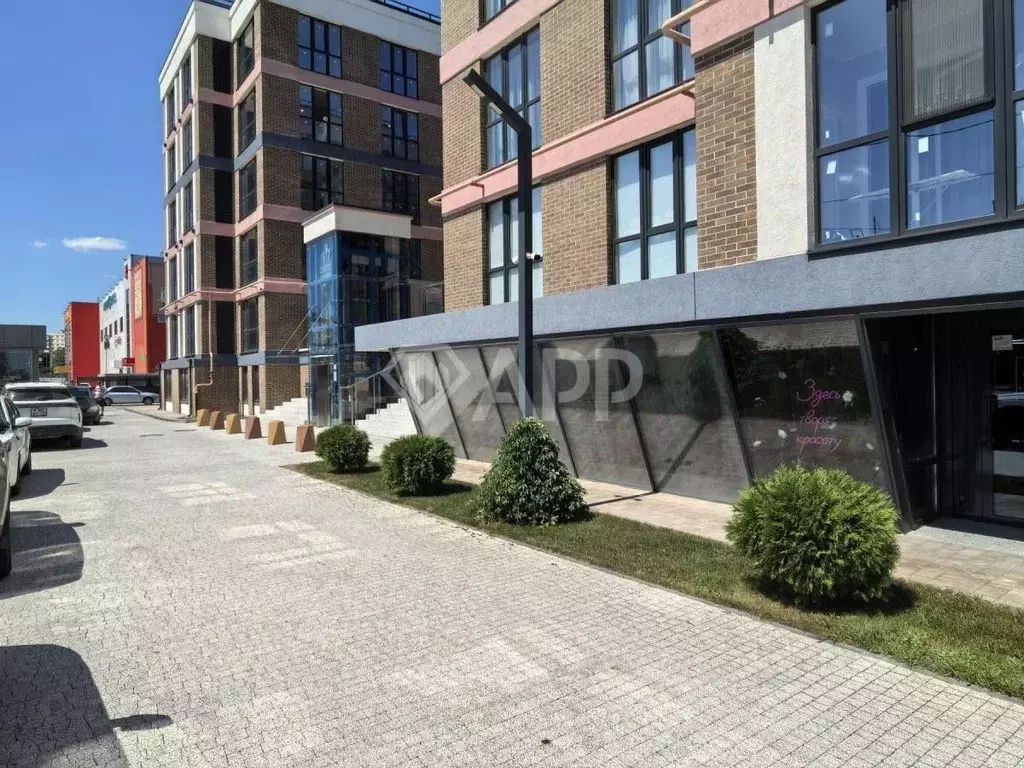 Помещение свободного назначения в Краснодарский край, Новороссийск ... - Фото 1