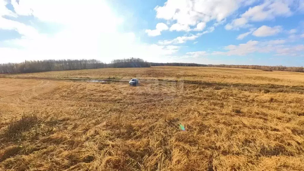 Участок в Тюменская область, Тюменский муниципальный округ, с. ... - Фото 1