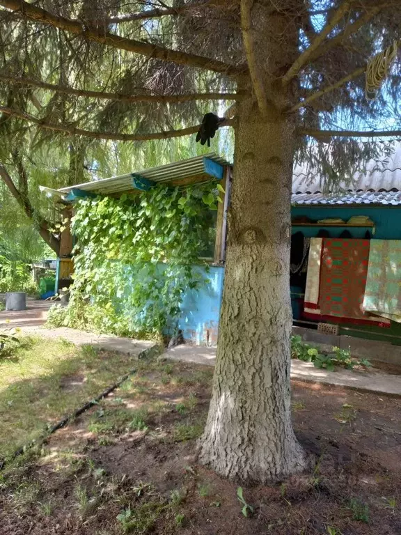 Дом в Самарская область, Ставропольский район, Верхнее Санчелеево ... - Фото 0