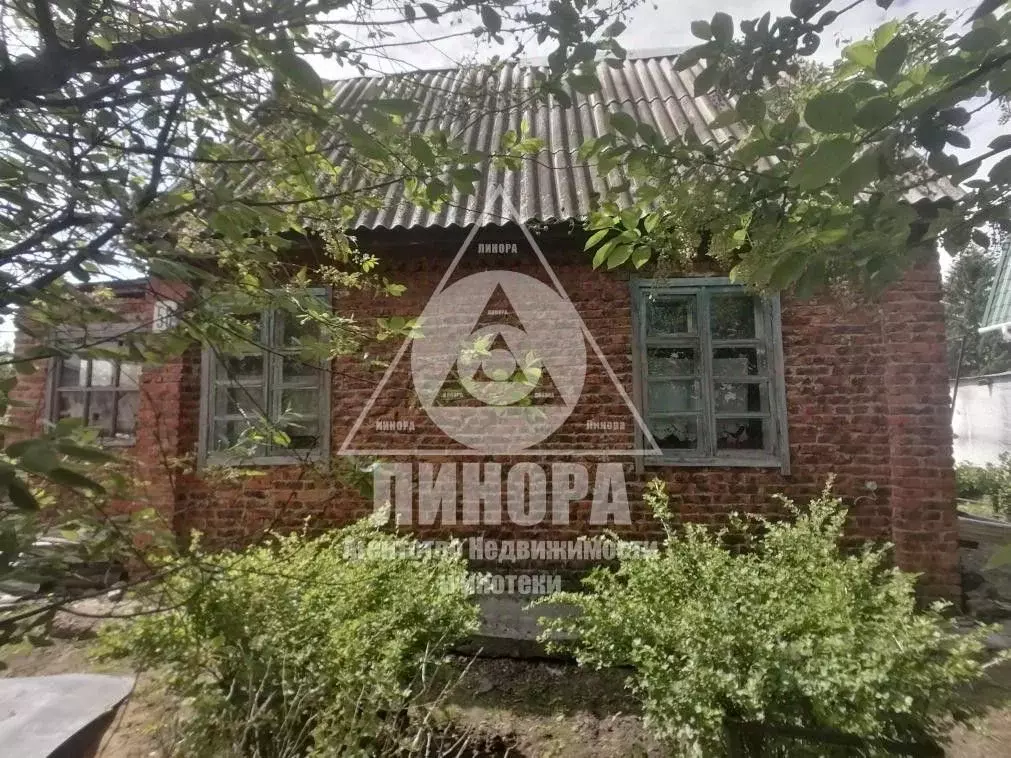 Дом в Омская область, Омск СНТ Молния ТСН,  (20 м) - Фото 1