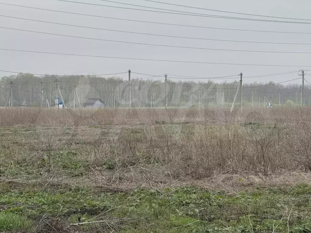 Участок 8,3 сот. (ИЖС) - Фото 0
