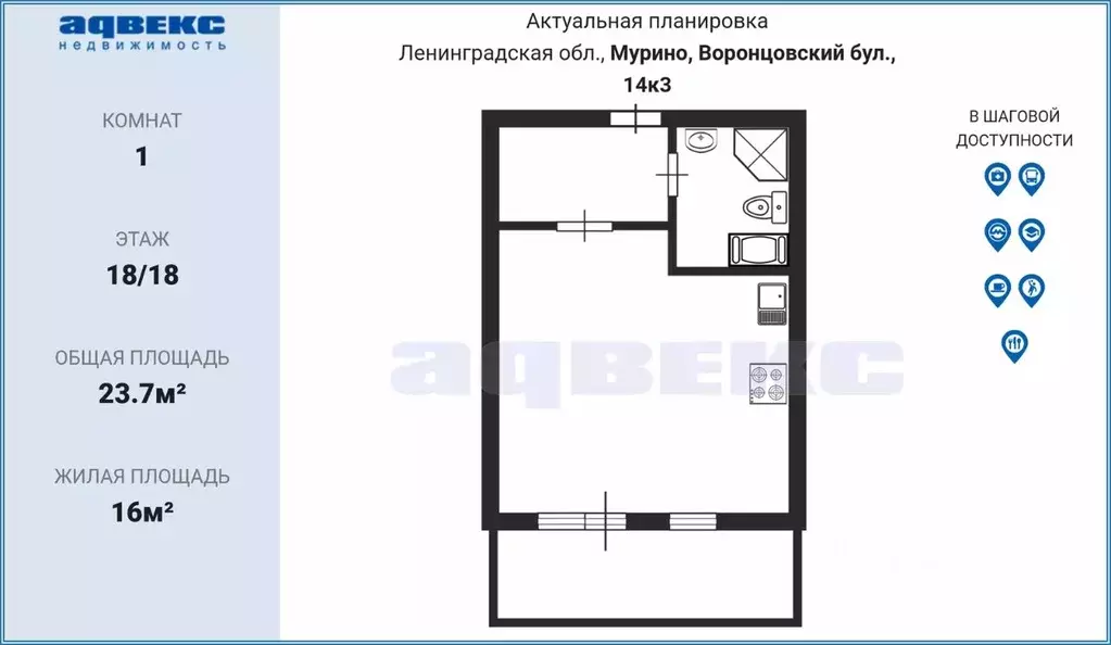 Студия Ленинградская область, Мурино Всеволожский район, бул. ... - Фото 1