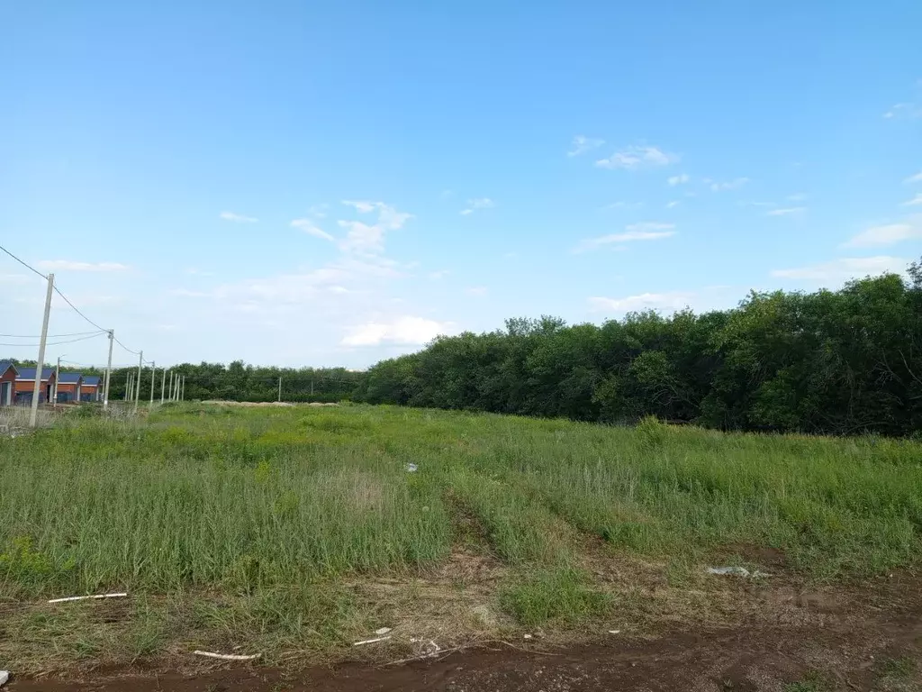 Участок в Оренбургская область, Оренбургский район, с. Подгородняя ... - Фото 1