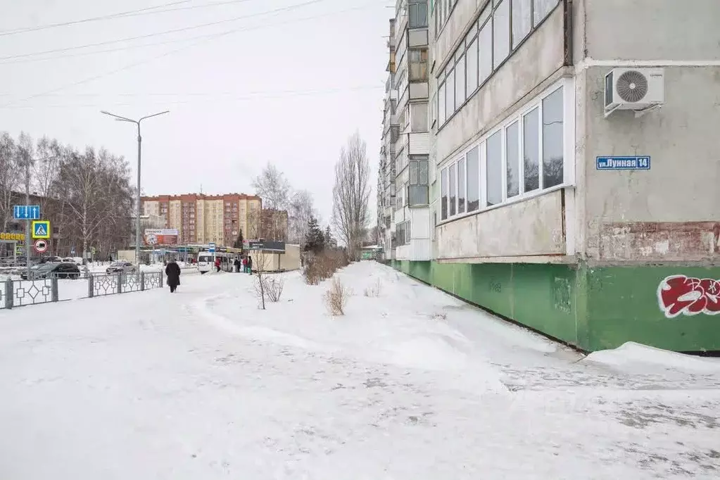 1-к кв. Новосибирская область, Бердск Лунная ул., 14 (38.0 м) - Фото 2