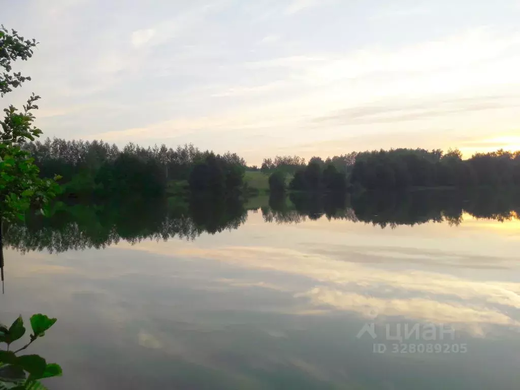 Участок в Московская область, Серпухов городской округ, д. Волохово ... - Фото 1