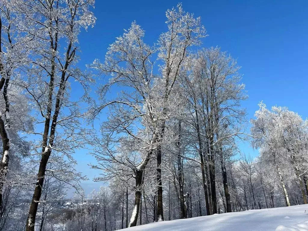 Участок в Московская область, Дмитровский муниципальный округ, д. ... - Фото 2