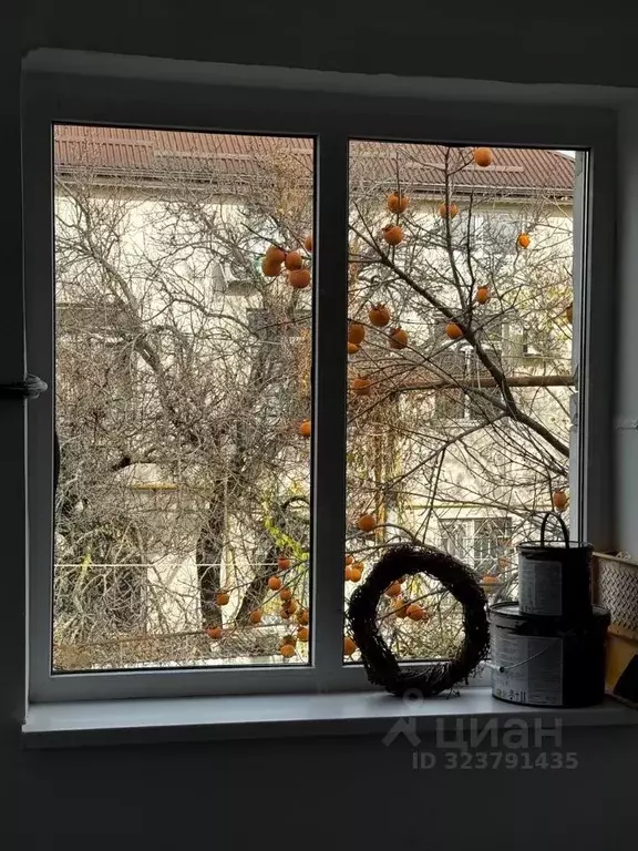 2-к кв. Краснодарский край, Анапа Парковая ул., 68 (50.0 м) - Фото 1