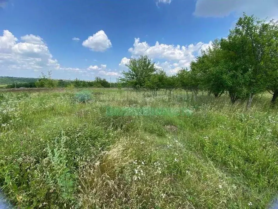 Участок в Белгородская область, Белгородский район, Беломестненское ... - Фото 0