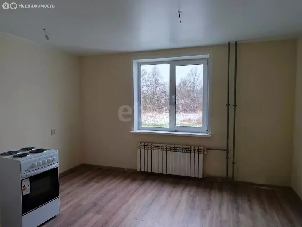 Квартира-студия: Остров, улица Калинина, 82А (21.4 м) - Фото 1