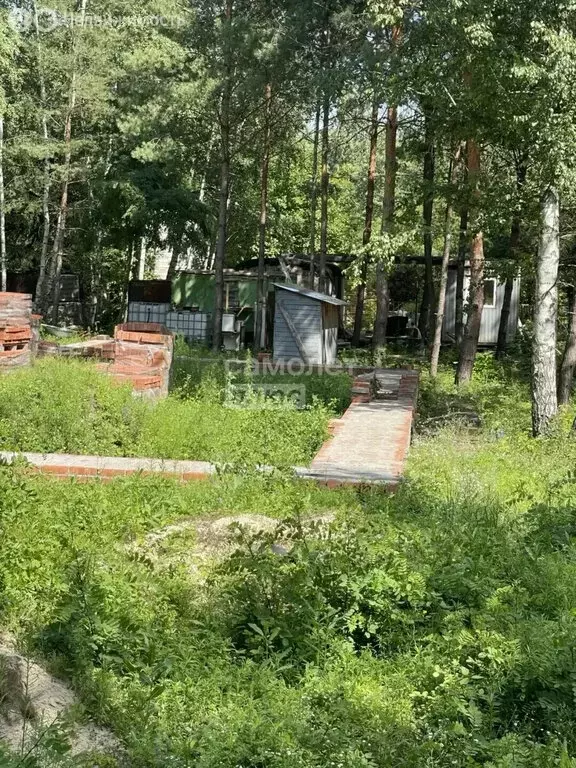 Участок в село Горицы, СНТ Горицы, 11-я улица (30 м) - Фото 2