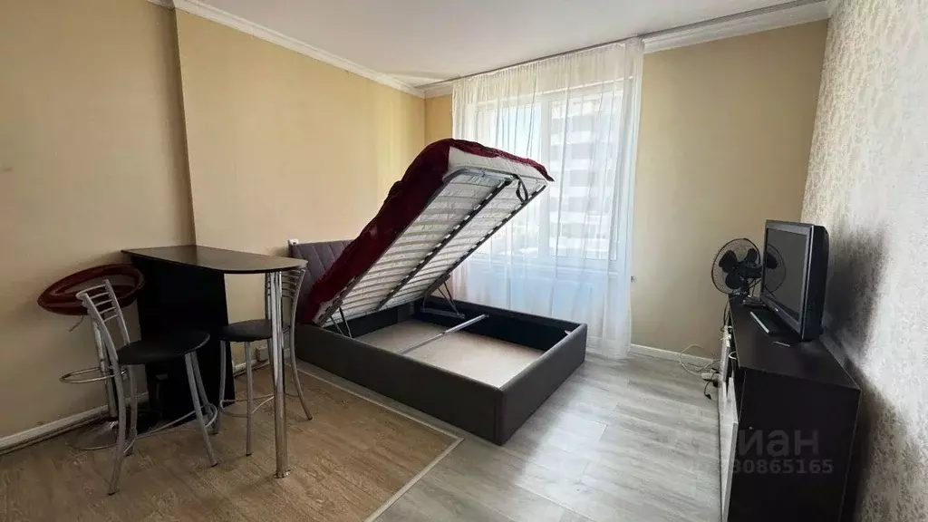 Студия Московская область, Красногорск ул. Липовой Рощи, 2к1 (26.0 м) - Фото 2