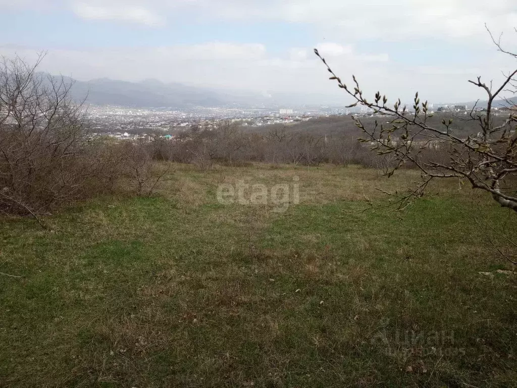 Участок в Краснодарский край, Новороссийск Золотая рыбка СНТ, 518 (8.0 ... - Фото 1