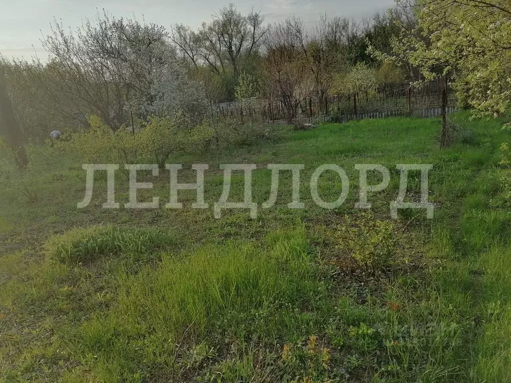 Участок в Ростовская область, Октябрьский район, пос. Персиановский, ... - Фото 2