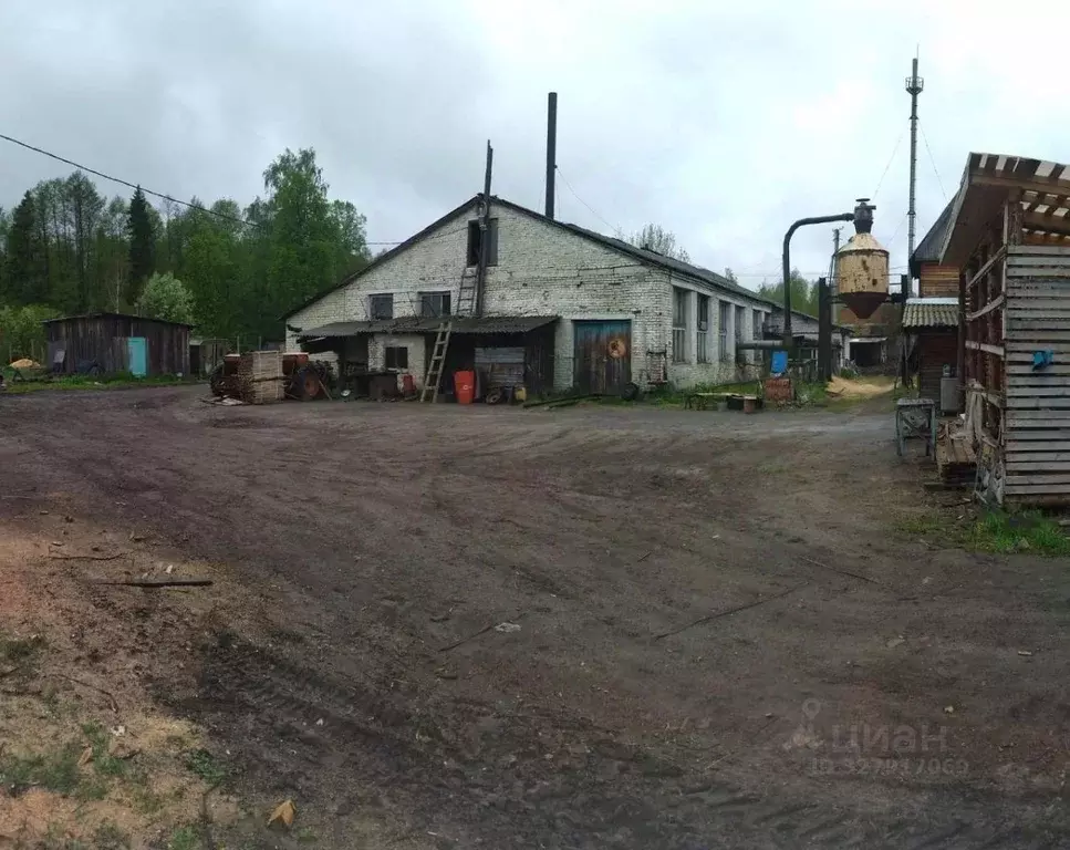 Производственное помещение в Марий Эл, Килемары пгт ул. Пушкина (6000 ... - Фото 2