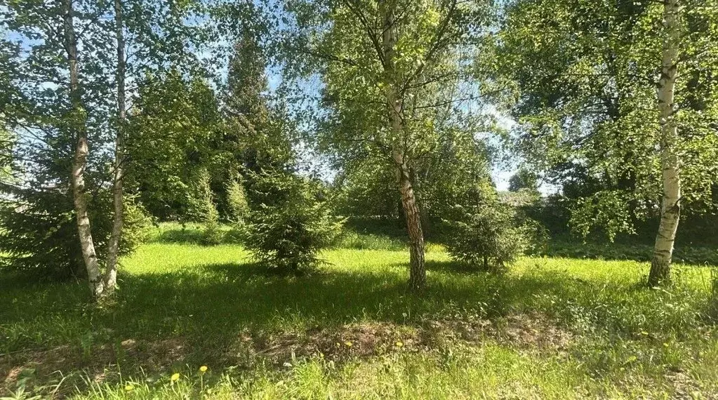 Участок в Московская область, Ступино городской округ, д. Чирково ул. ... - Фото 0
