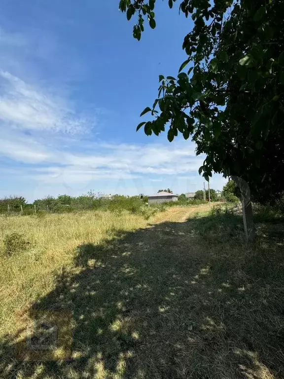 Участок 6 сот. (СНТ, ДНП) - Фото 1