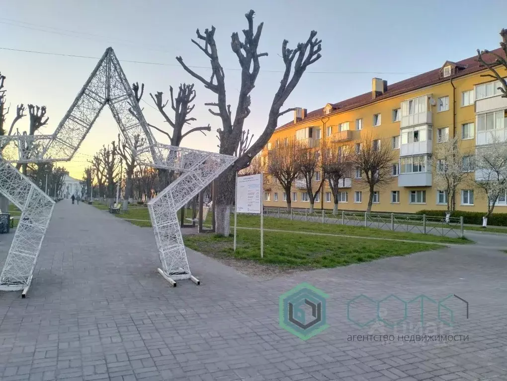 3-к кв. Калининградская область, Светлый бул. Нахимова, 5 (55.0 м) - Фото 2