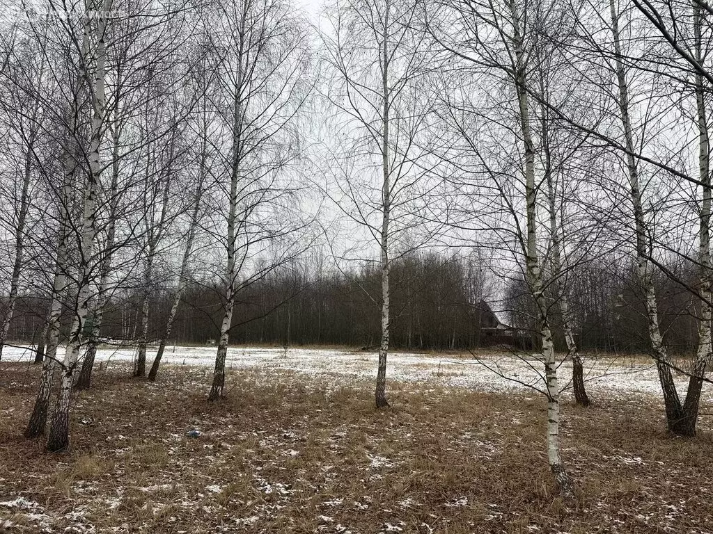 Участок в Раменский городской округ, село Татаринцево (6 м) - Фото 1