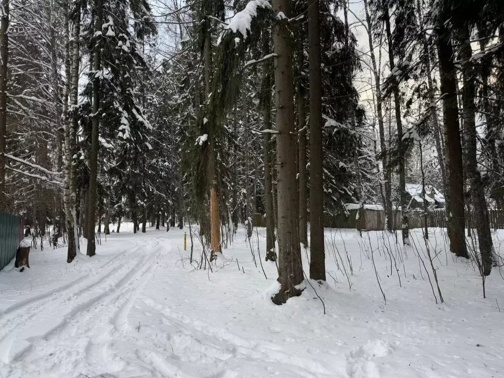 Участок в Московская область, Солнечногорск городской округ, Поварово ... - Фото 1