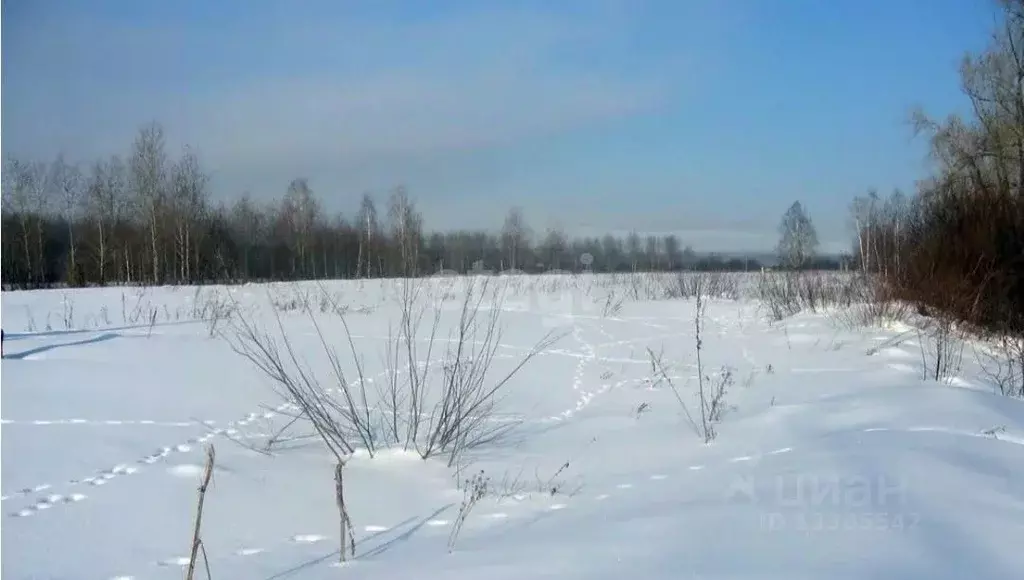 Участок в Кемеровская область, Кемеровский район, с. Андреевка ул. ... - Фото 1