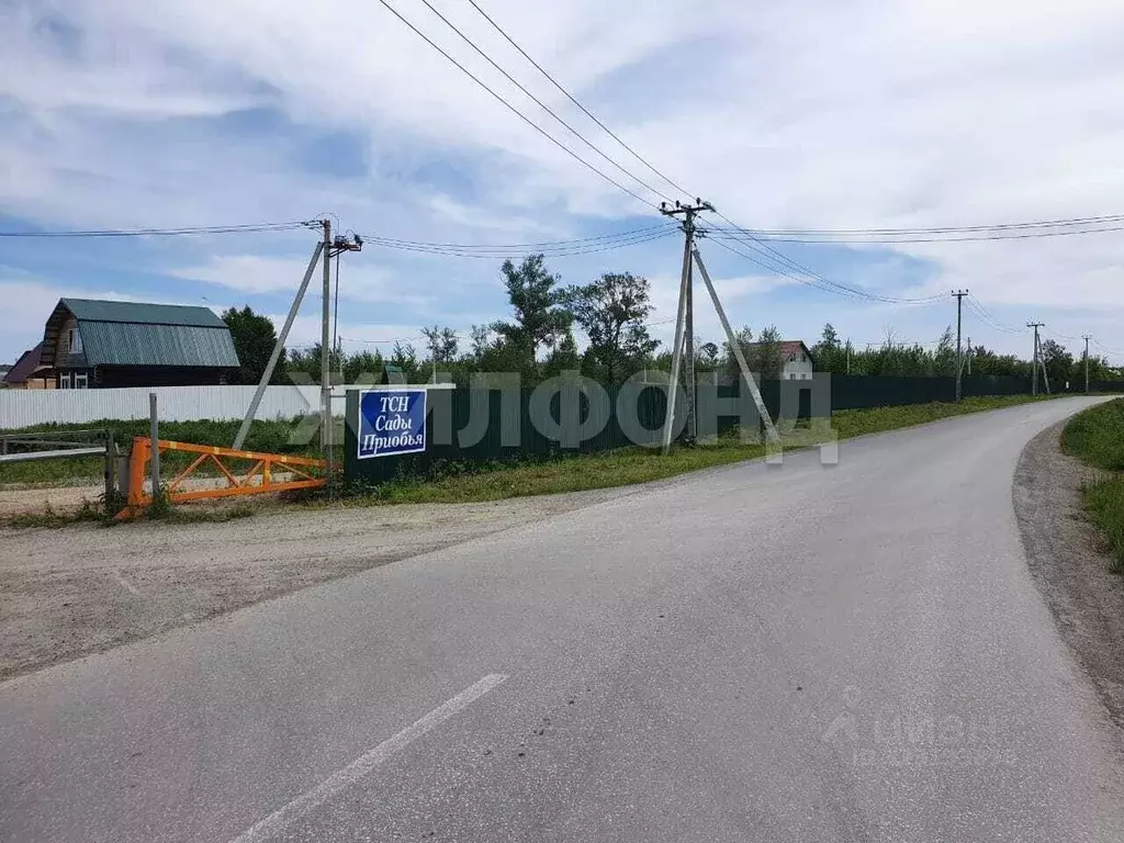 Участок в Новосибирская область, Новосибирский район, Кубовинский ... - Фото 1