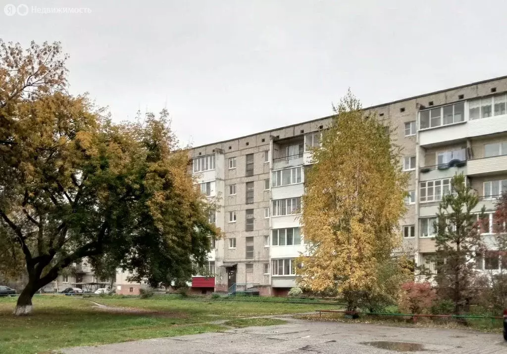 1-комнатная квартира: Сухой Лог, Пушкинская улица, 4/2 (35.7 м) - Фото 0
