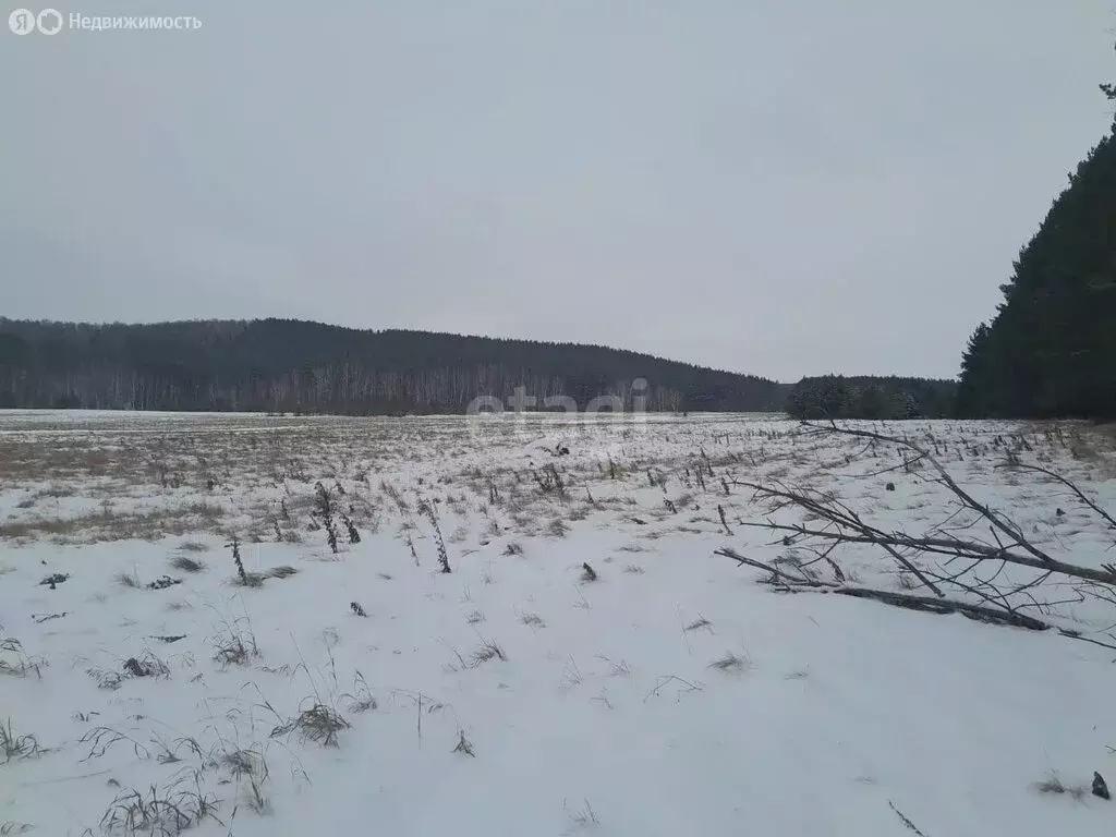 Участок в Зареченское сельское поселение, село Скатинское (431.7 м) - Фото 1