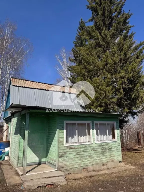 Дом в Новосибирская область, Бердск Вега-4 СНТ, 1 (24 м) - Фото 1