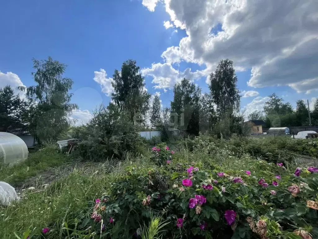 Участок 8,2 сот. (СНТ, ДНП) - Фото 1