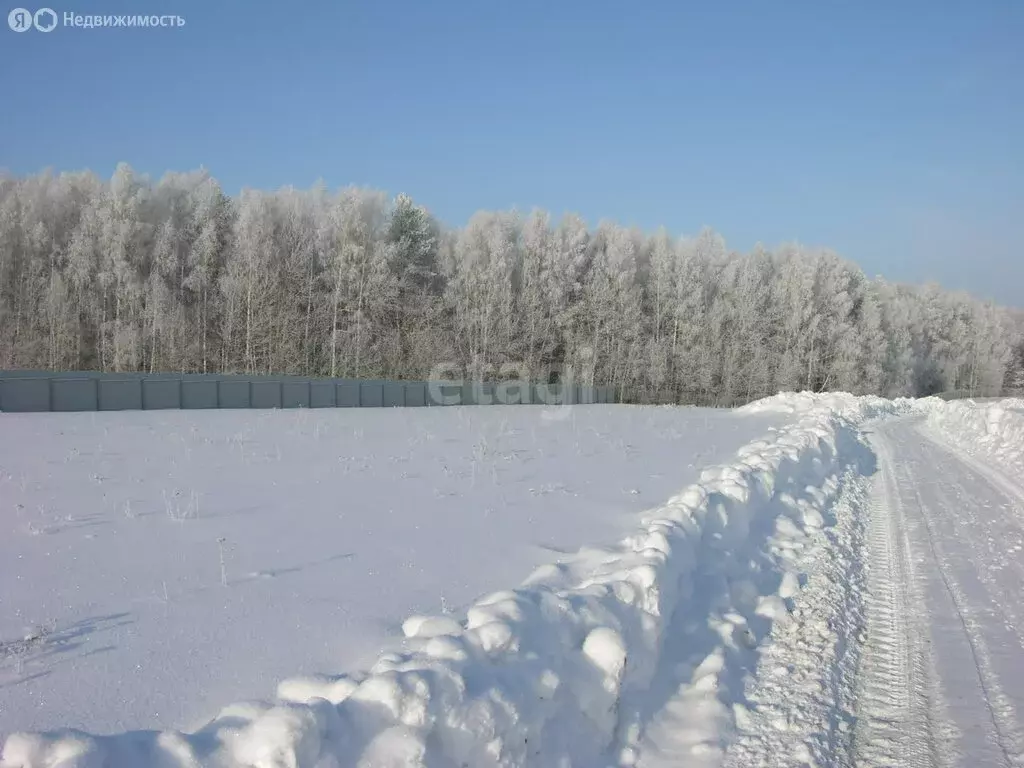 Участок в Новосибирск, Бердское шоссе (4.8 м) - Фото 0