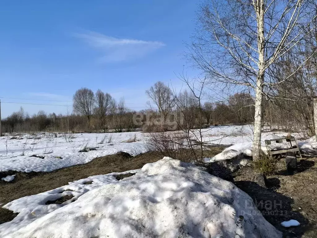 Участок в Владимирская область, Округ Муром городской округ, д. ... - Фото 1