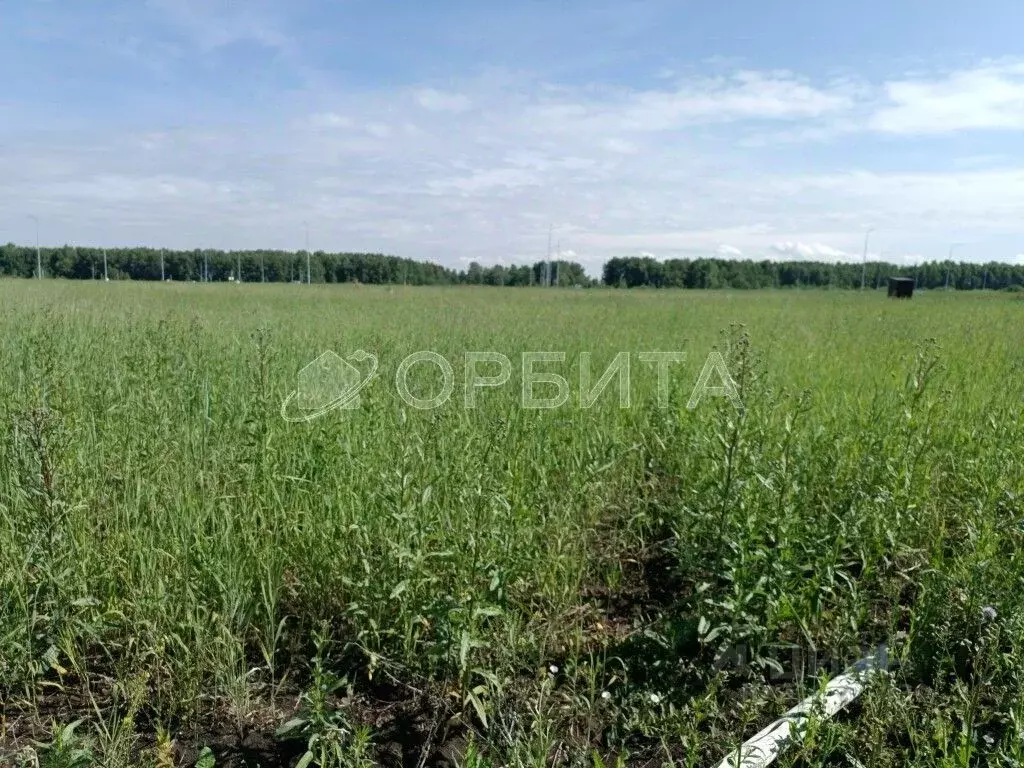 Участок в Тюменская область, Тюменский район, Новокаменский кп ул. ... - Фото 1