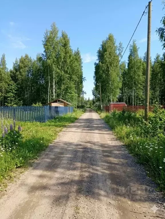 Участок в Вологодская область, Череповецкий район, д. Даргун  (16.0 ... - Фото 1