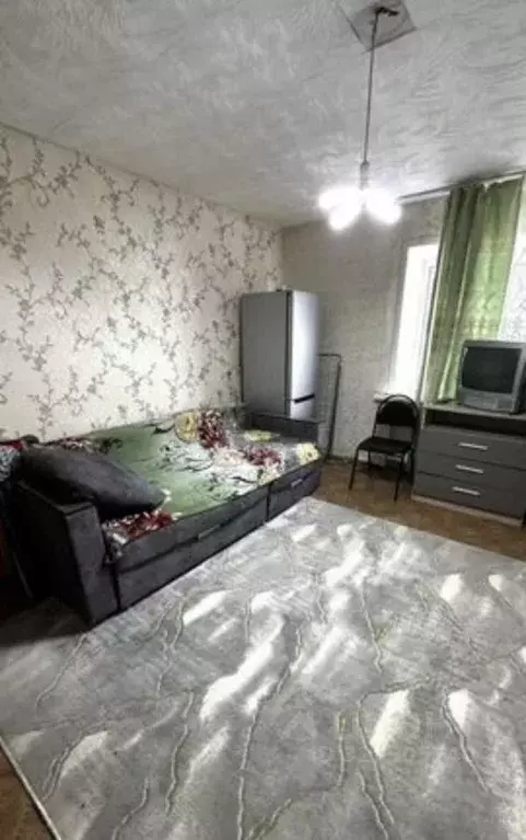 Студия Красноярский край, ЗАТО Железногорск городской округ, пос. ... - Фото 2