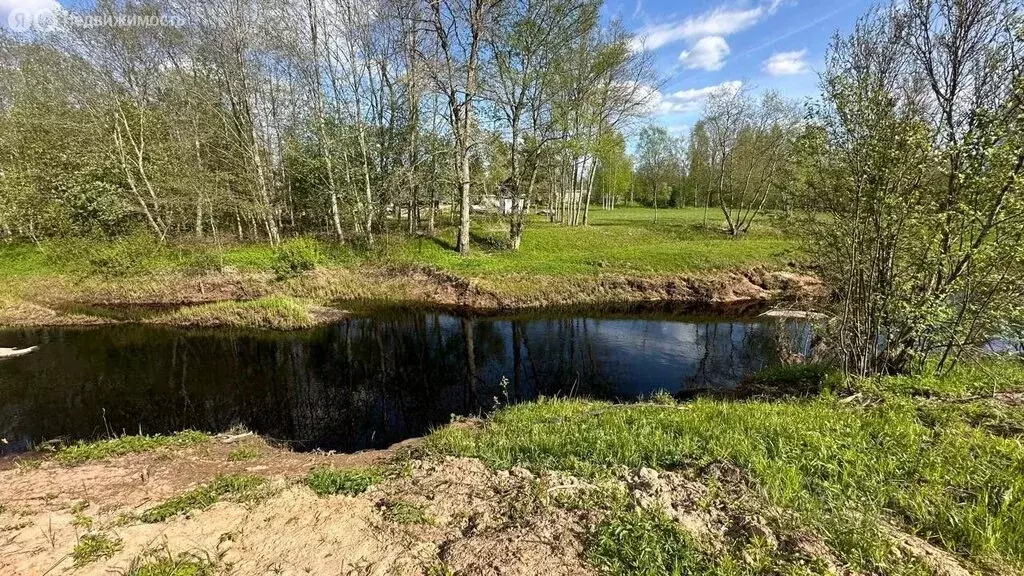 Участок в Новгородская область, Маловишерское городское поселение, ДП ... - Фото 1