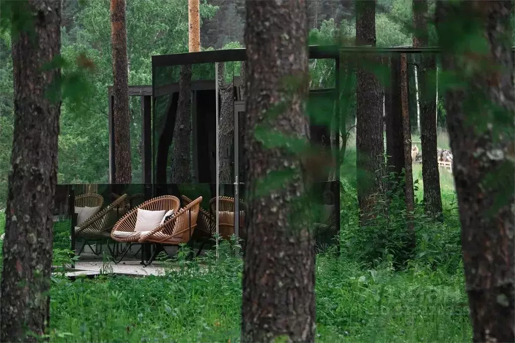 Дом в Алтай, Майминский район, с. Усть-Муны Березовая ул. (38 м) - Фото 1