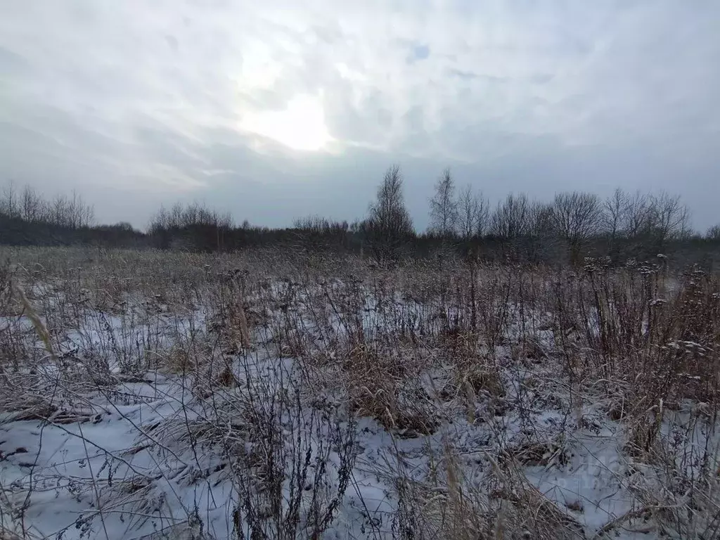 Участок в Московская область, Коломна городской округ, с. Нижнее ... - Фото 0