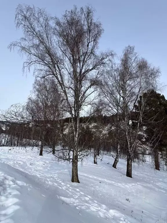 Участок в Алтай, Чемальский район, с. Бешпельтир  (1.0 сот.) - Фото 1