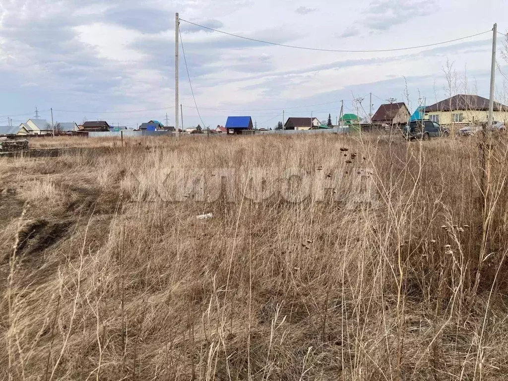 Участок в Новосибирская область, Коченевский район, Чик рп ул. ... - Фото 1