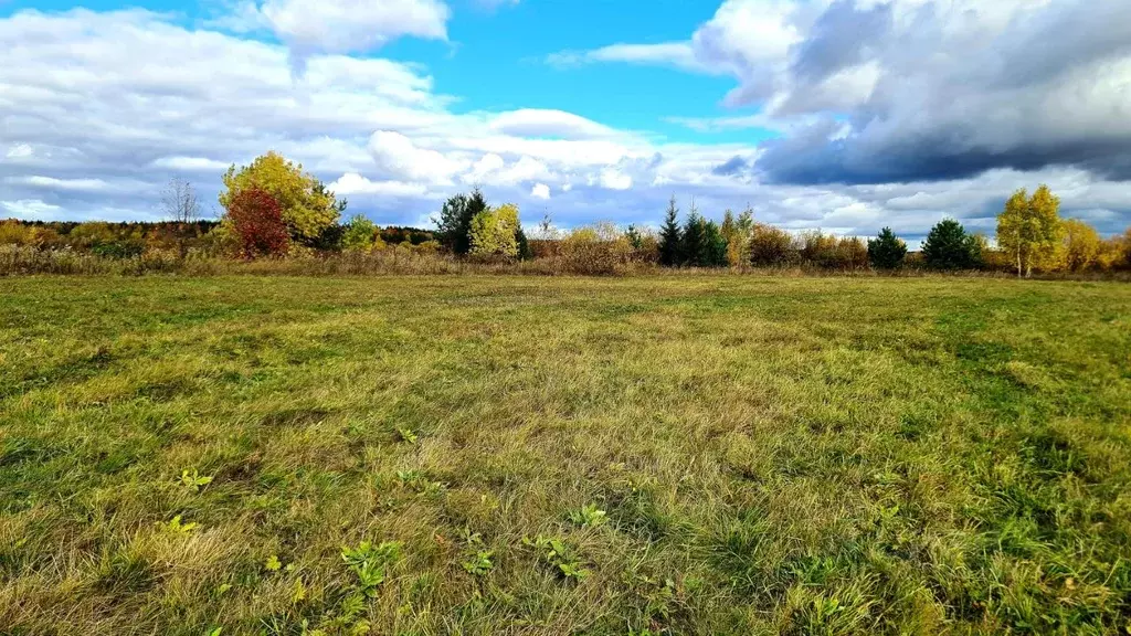 Участок в Свердловская область, Верхотурский муниципальный округ  ... - Фото 2