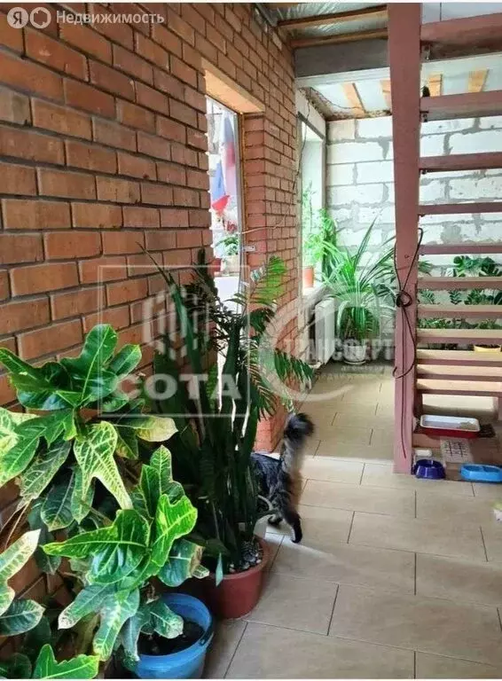 Дом в Воронеж, Радостная улица, 8 (80 м) - Фото 1