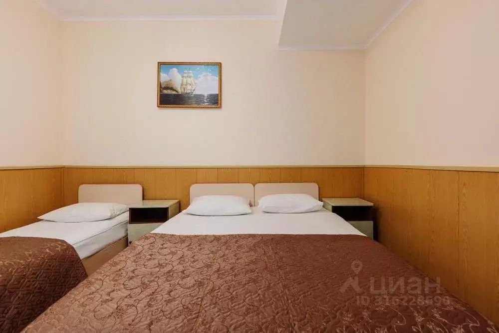 2-к кв. Краснодарский край, Сириус пгт ул. Цветочная, 1/1 (25.0 м) - Фото 1