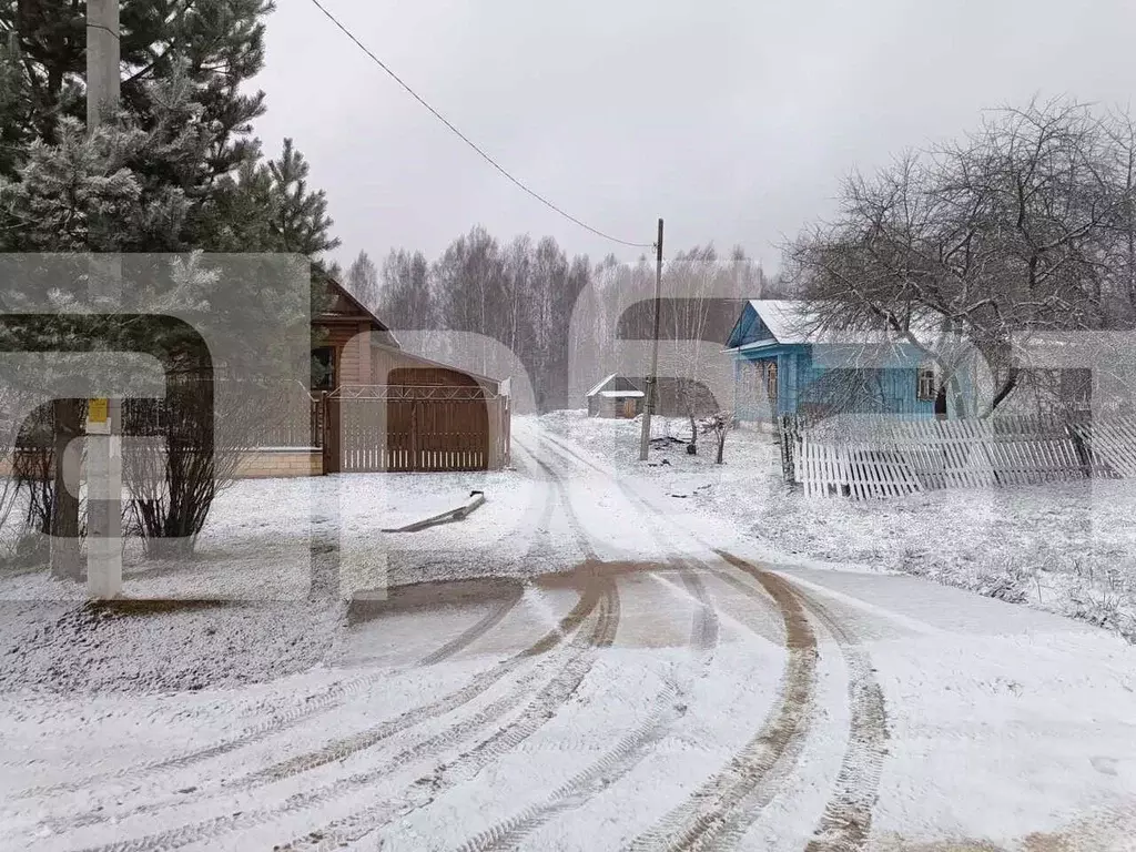 Участок в Костромская область, Красносельский район, Шолоховское ... - Фото 1