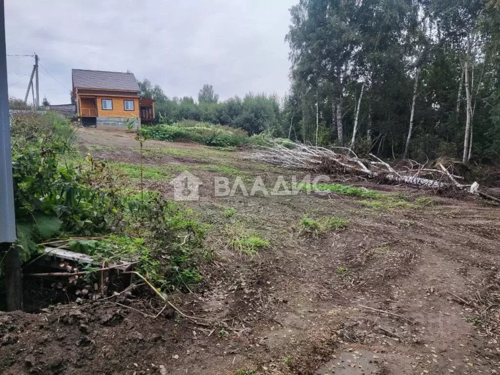 Участок в Новосибирская область, Новосибирский район, с. Раздольное ... - Фото 1