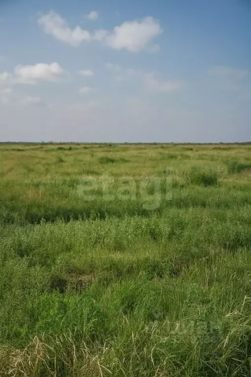 Участок в Амурская область, Благовещенский район, с. Волково  (9.5 ... - Фото 2