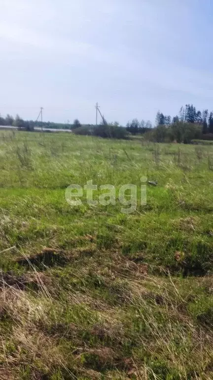 Участок в Вологодская область, Вологда  (260.0 сот.) - Фото 1