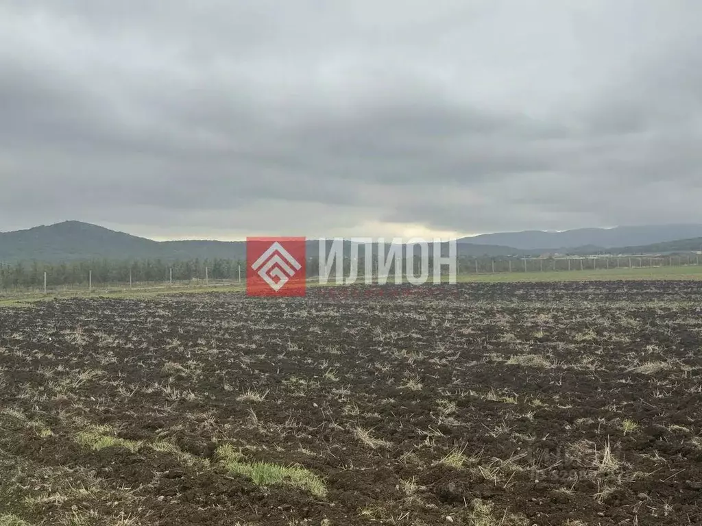 Участок в Крым, Белогорский район, с. Курское ул. Ленина (500.0 га.) - Фото 2