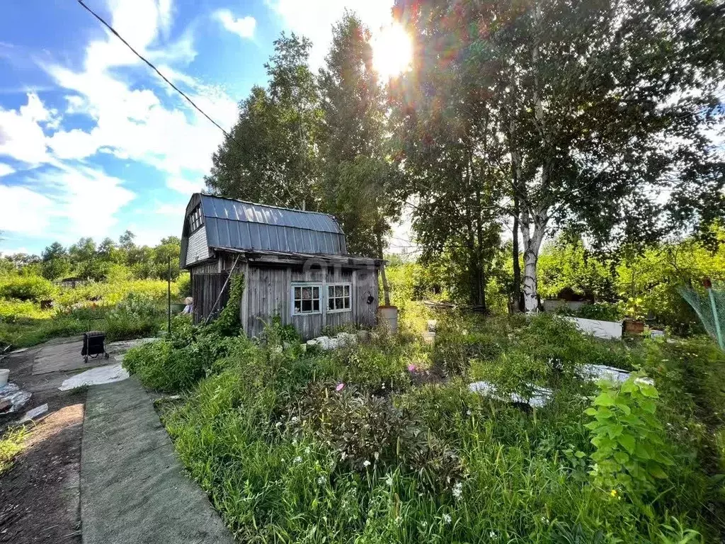 Дом в Еврейская автономная область, Смидовичский район, Целитель СНТ  ... - Фото 1