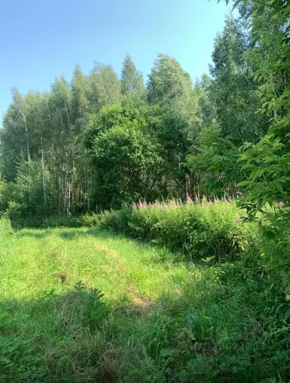 Участок в Тульская область, Щекино пл. Ленина (12.9 сот.) - Фото 2