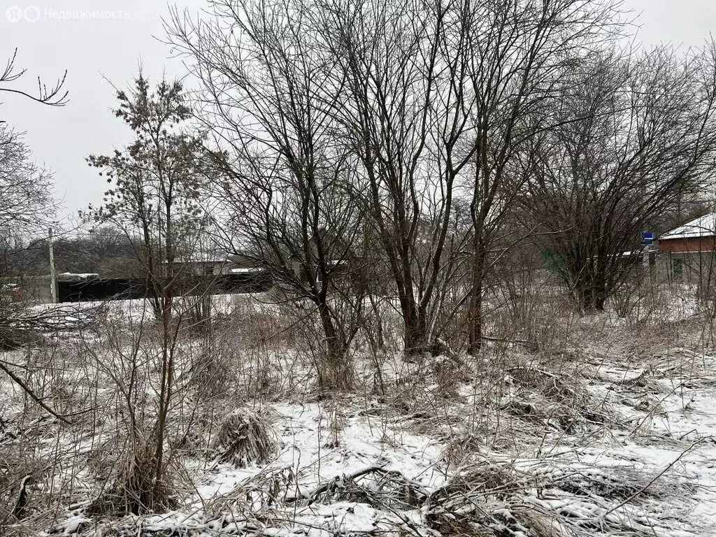 Участок в посёлок городского типа Заводской, улица 16-я Линия (5 м) - Фото 0